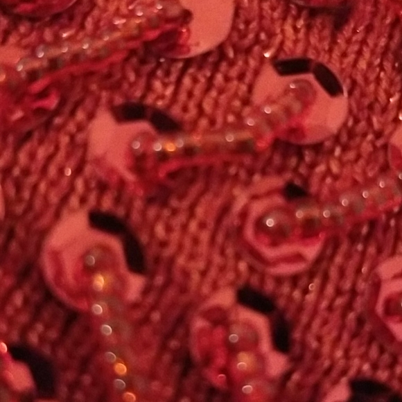 Ruby Red Sequin Camisole Medium - Picture 12 of 12